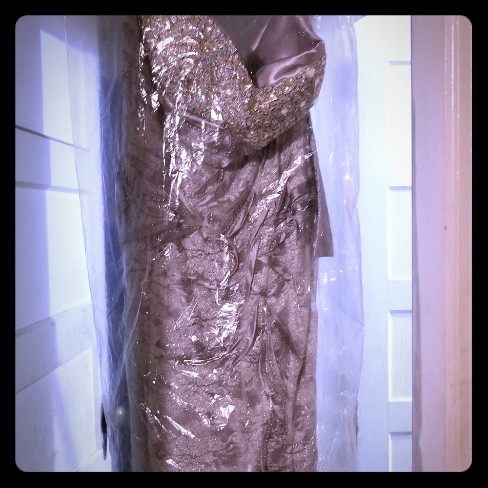 Silver gown